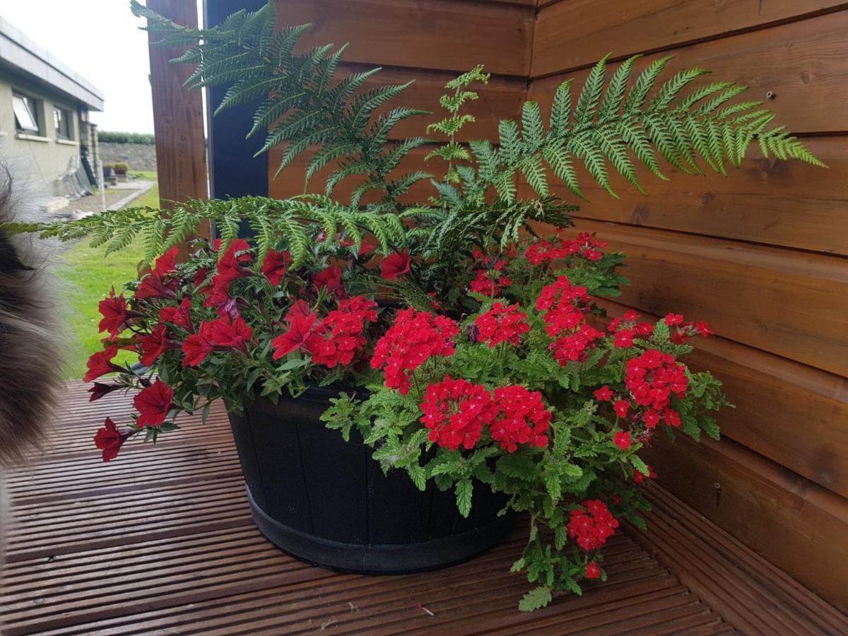 Glamorous Glamping Belmullet Zewnętrze zdjęcie
