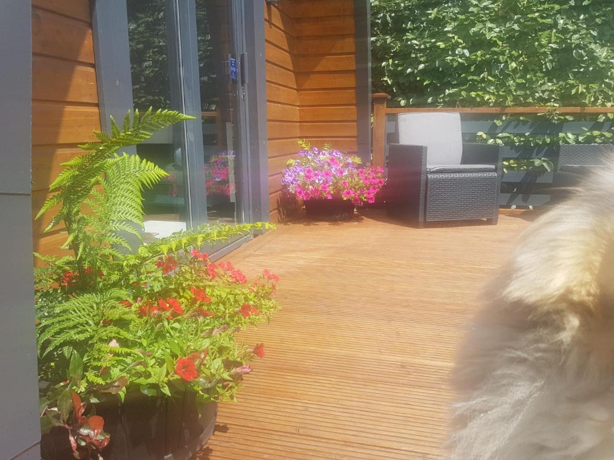 Glamorous Glamping Belmullet Zewnętrze zdjęcie